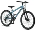 Produktbild: Licorne Bike Mountainbike Thunder