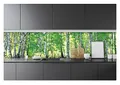 Produktbild: WallArena - Vlies Fototapete Küche Abwaschbar Wald Birken Küchentapete 250x60 - Fototapeten - Tapeten - für Wohnzimmer Schlafzimmer - Vliestapete Wandtapete Tapete 3D Effekt- inkl. Kleister