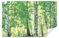 Produktbild: Wallarena Fototapete Küche Abwaschbar 250x60 Tapete Wandtapete Einteilig Küchenrückwand, Glatt, Wald, Birkenwald, Tapete inklusive Kleister Vliestapete Motivtapete