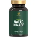 Produktbild: NATTOKINASE 100 mg