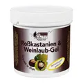 Produktbild: Rosskastanien + Weinlaub Gel · 250 ml · PZN 01125643