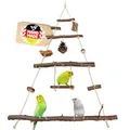 Produktbild: Vogelgaleria® Vogelspielplatz Vogelschaukel aus Naturholz | XXL Wellensittich Schaukel | kleines Papageienspielzeug | Spielzeug Nymphensittich | Wellensittich Spielplatz hängend