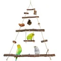 Produktbild: XXL Vogelschaukel Vogelspielplatz hängend Wellensittich Spielplatz Naturholz