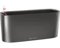 Produktbild: Blumenkasten Lechuza Delta Kunststoff 30 x 11 x 13 cm anthrazit inkl. Pflanzeins
