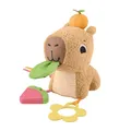 Produktbild: Mattel Fisher-Price sensorisches Babyspielzeug Kuschel-Capybara Plüschtier mit