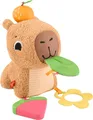 Produktbild: Fisher-Price sensorisches Babyspielzeug Kuschel-Capybara Plüschtier mit Beißring