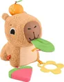 Produktbild: Fisher-Price Kuschel-Capybara sensorisches Babyspielzeug Plüschtier mit Beißring