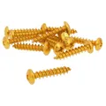 Produktbild: Bolzen Schraubenset 12x 30mm gold eloxiert 6er Gewinde für Verkleidungssysteme