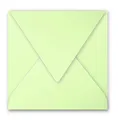 Produktbild: Pollen by Clairefontaine Briefumschlag 140 mm knospengrün 20 Briefumschläge