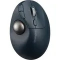 Produktbild: Pro Fit Ergo TB550, Trackball schwarz/blau