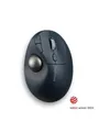 Produktbild: Kensington Pro Fit Ergo TB550 Trackball - Maus (Blau)