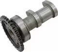 Produktbild: HOT CAMS 2041-1IN Ansaugnockenwelle