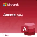 Produktbild: Microsoft Access 2024