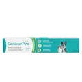 Produktbild: CANIKUR PRO zur Unterstützung der natürlichen Darmflora – Diät-Ergänzungsfuttermittel für Hunde und Katzen 15ml