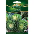 Produktbild: Quedlinburger Zierkohl 'Sunrise', 1 Tüte Samen