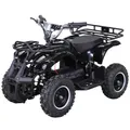 Produktbild: Actionbikes Motors Elektro Kinderquad Torino | 1000 Watt - 36 V - Pocket Quad bis 24 km/h - 3 Stufen - Kinder Elektroquad (Schwarz)