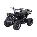 Produktbild: Actionbikes Motors Elektro-Kinderquad Torino, 1000 Watt, Pocket-Quad mit Scheibenbremsen, 24 km/h, 3 x 12-Volt-Batterie (Schwarz)