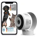 Produktbild: PetTec Cam Lite | Hundekamera mit App | Haustierkamera | Kamera Tiere Zuhause