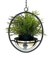 Produktbild: DanDiBo Blumenampel Innen Metall Wand Hängepflanzen 43 cm 96087 S mit Topf Silber Pflanzenhänger Blumenhänger Topfhänger Blumen Blumentopfhänger Hängetopf