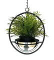 Produktbild: Blumenampel Innen Metall Wand Hängepflanzen 43 cm 96087 S mit Topf Silber Modern