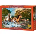 Produktbild: Castorland Horse Wonderland Puzzle 1000 Teile (1000 Teile) (C-104789-2)