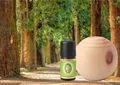 Produktbild: Primavera Zirbenkugel und äth. Öl Zirbelkiefer 5ml 100% naturreine Qualität