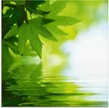 Produktbild: Artland Glasbild Grüne Blätter reflektieren im Wasser, Blätter (1 St), in verschiedenen Größen