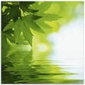 Produktbild: ARTland Wanddeko Glasbilder Wandbild Glas Bild einteilig Quadratisch Natur Wald See Pflanzen Wasser Baum Blätter T5TM