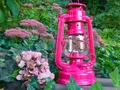 Produktbild: Sturmlaterne telemagenta Feuerhand Baby Special 276 Petroleumlampe Laterne