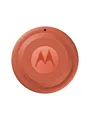 Produktbild: Motorola moto tag 2 - PANTONE Arabesque (1x)
