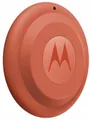 Produktbild: Motorola Moto Tag 2 PANTONE arabesque