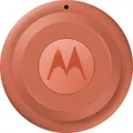 Produktbild: Motorola moto tag 2 Pantone Arabesque