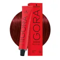 Produktbild: Schwarzkopf Igora Royal 5-88 Extra Rot Hellbraun 60ml  - Permanente Färbung