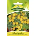 Produktbild: Balkontomate, Balconi Yellow
