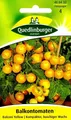 Produktbild: Balkontomate Balconi Yellow - Buschtomate, kompakter Wuchs - Tomaten Samen