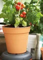 Produktbild: Blumentopf / Pflanzkübel elho Green Basics Ø 35cm H 32cm mild tonrot