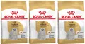 Produktbild: Royal Canin Maltese Adult Trockenfutter 3x1,5kg für ausgewachsene Malteser