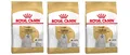 Produktbild: Royal Canin Breed Maltese Adult Hundefutter Trockenfutter 3 x 1,5 kg = 4,5 kg