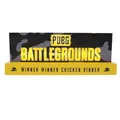 Produktbild: Neamedia ICONS PUBG: Battlegrounds - The Official Light