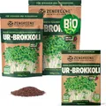 Produktbild: ZenGreens® - Bio Ur-Brokkoli Sprossen Samen - Wähle zwischen 10g, 200g und 500g - Brokkolisprossen mit hohem Sulforaphan-Gehalt - Stengelkohl Samen - Brokkolisamen - Keimrate von über 97%
