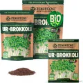 Produktbild: ® - Bio Ur-Brokkoli Sprossen Samen - Wähle zwischen 10g 200g und 500g - Brokk...
