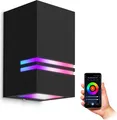 Produktbild: SSC-LUXon JOVO-S Wandleuchte schwarz GU10 IP44 mit Smart WiFi RGB LED Birnen (steuerung per App & Sprache) - Außenwandleuchte 1-flammig