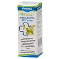 Produktbild: Canina® PETVITAL® Bach-Blüten Mischung Nr. 1