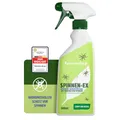 Produktbild: Spinnen Spray 500 ml - Effektive Spinnenabwehr - Abwehrspray mit Langzeitwirkung als Alternative zur Spinnenfalle - Anti-Spinnenspray für Innen & Außenbereich