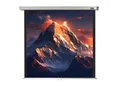 Produktbild: Celexon Beamer-Leinwand Rollo Professional, 89 Zoll, 155 x 155 cm, Format 1:1, Rolloleinwand