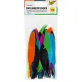 Produktbild: folia Federn mehrfarbig Indianerfedern bunt 10 g, 1 Pack