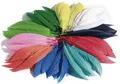 Produktbild: folia Indianerfedern, 10 g, farbig sortiert