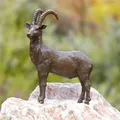 Produktbild: Bronzefigur Steinbock klein 32cm Gartenfigur Bronze Skulptur Rottenecker