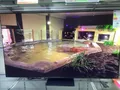 Produktbild: Samsung GQ65S95DATXZG AI OLED Glare Free TV 6#1906849