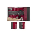 Produktbild: Vicco Hängeschrank Küchenschrank Küchenzeile R-Line 45 cm Anthrazit Bordeaux Tür Fächer